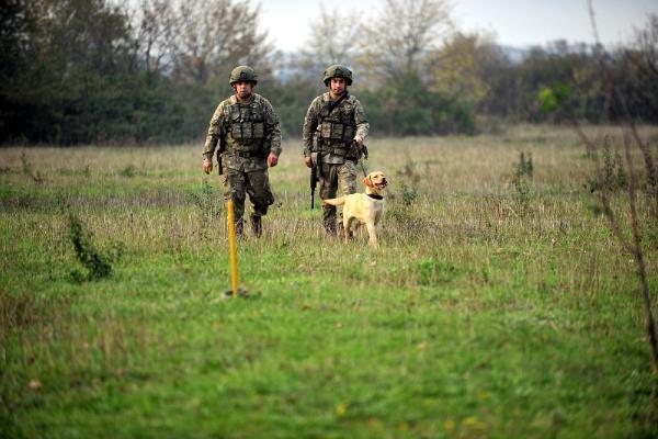 Kahraman köpekler! Eğitimler 3 aylıkken başlıyor