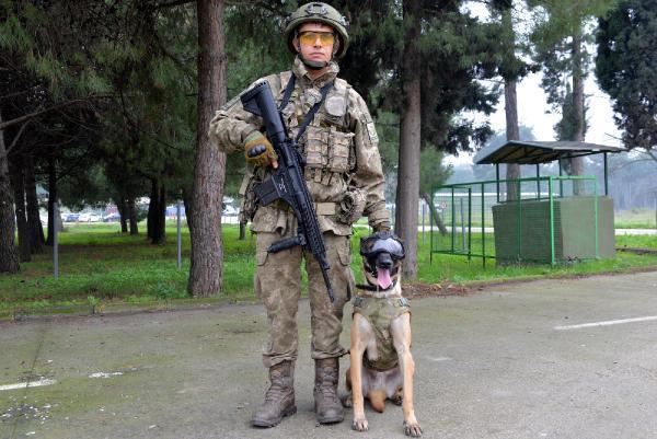 Kahraman köpekler! Eğitimler 3 aylıkken başlıyor