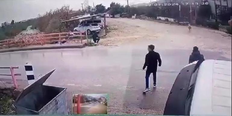 Yer: Antalya! Koçun boynuz darbesiyle neye uğradığını şaşırdı