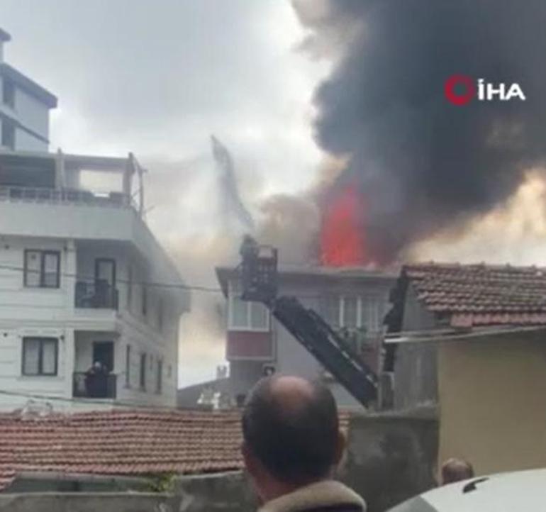 Mahalle sokağa döküldü! Hiçbir şey olmamış gibi rahatlıyla şaşırttı