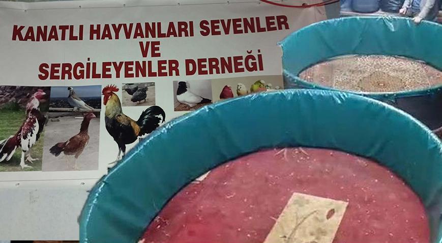 Kanatlı Hayvanlar Derneği’nde şok baskın! Ekipler şaşkına döndü