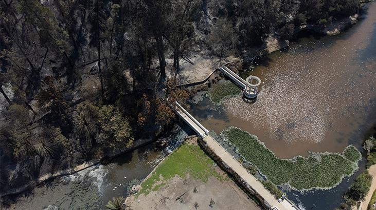 Şili’de can kaybı arttı! Orman yangınlarında 123 ölü