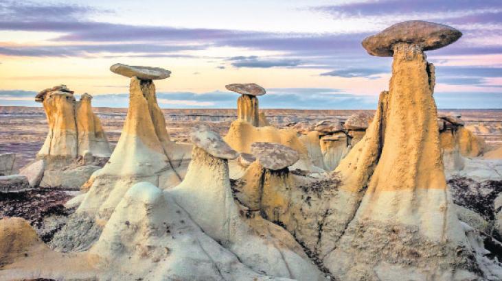 Hayat Türkiye’den mi başladı?