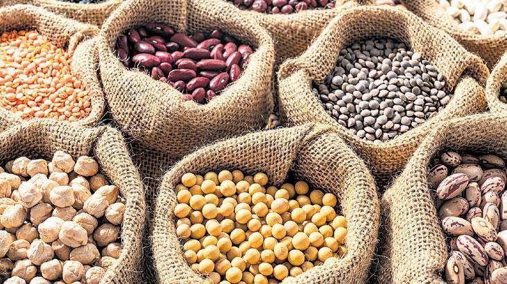 ‘Baklagillere destek artsın’