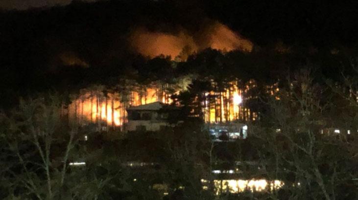 Uludağ eteklerinde orman yangını! İnceleme başlatıldı