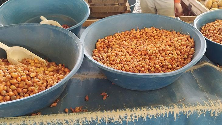 Tohumluk kuru soğanın fiyatı değişmedi