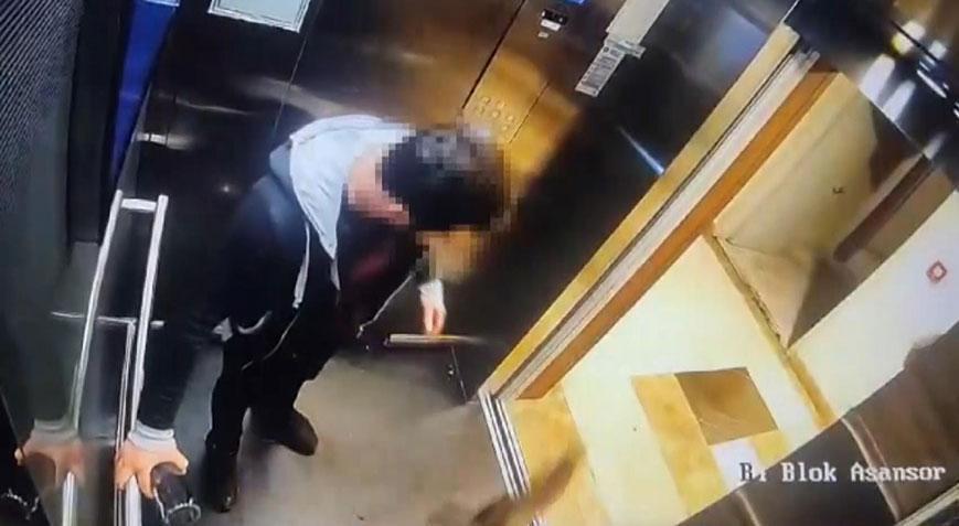 Başakşehir’de kediyi tekmeleyerek öldürmüştü… Savcılık ‘ertelemeye’ itiraz etti