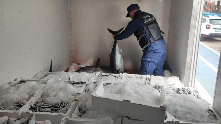 Avlanması yasak! Soğuk hava deposunda 11 tane ele geçirildi