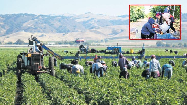 Yeni düzenleme: Mevsimlik işçileri devlet ağırlayacak