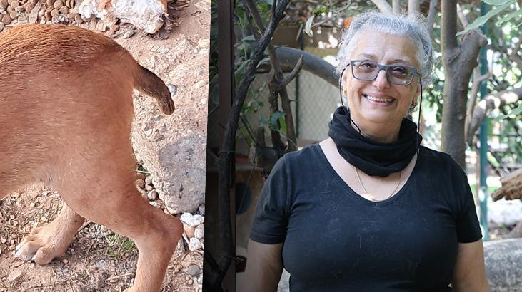 Norveçli kadın Antalya’da şoka girdi: Bu bir insanın yapabileceği en kötü şey