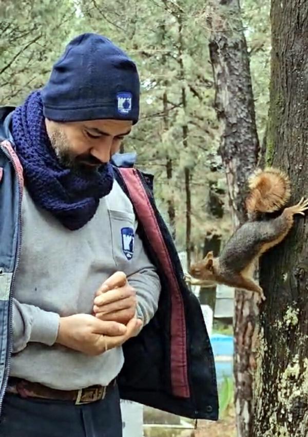 Sincaplarla hayrete düşüren bağ! 'Sevginin başaramayacağı hiçbir şey yok'