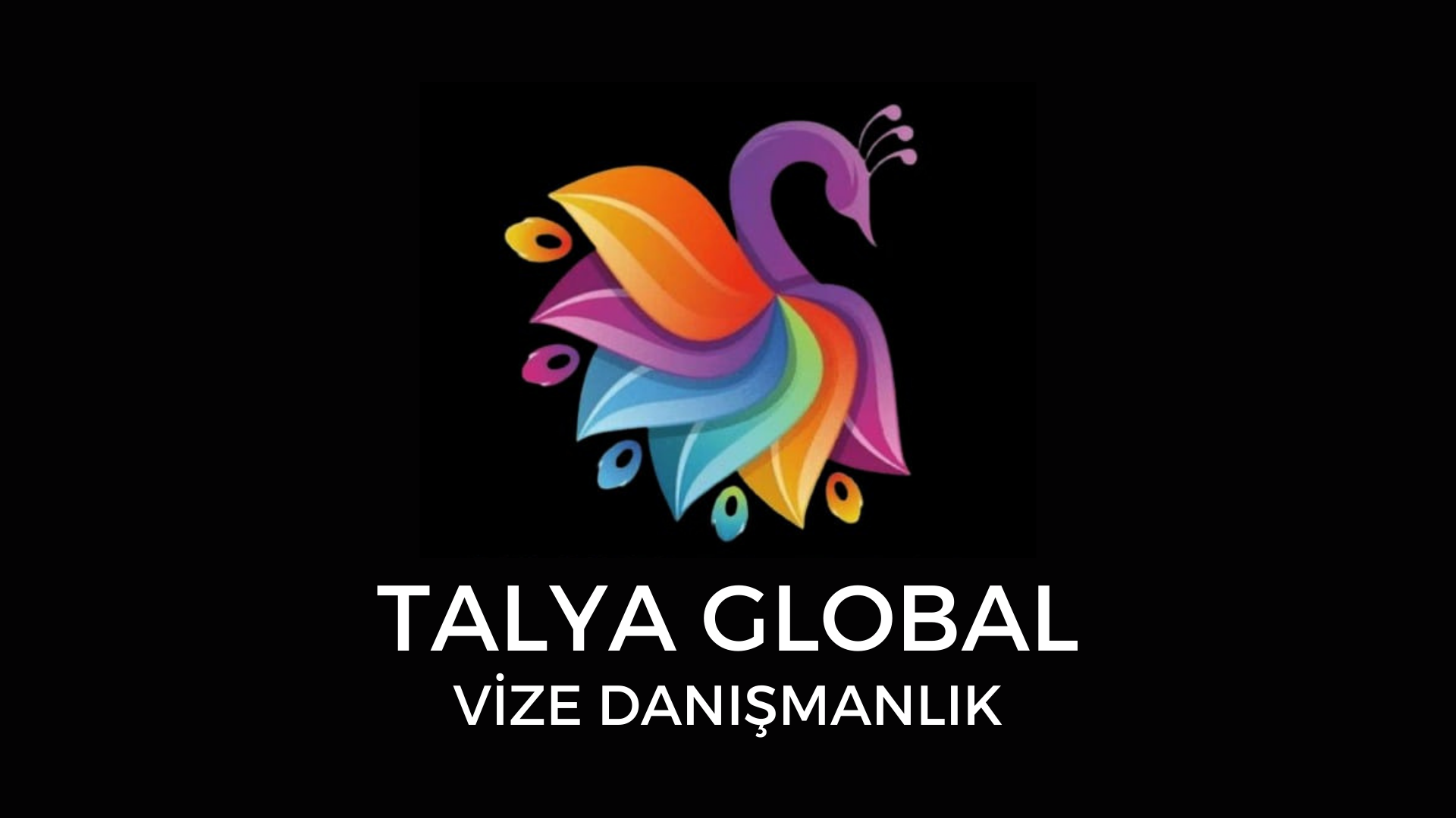 Talya Global Vize Danışmanlık Hizmetleri
