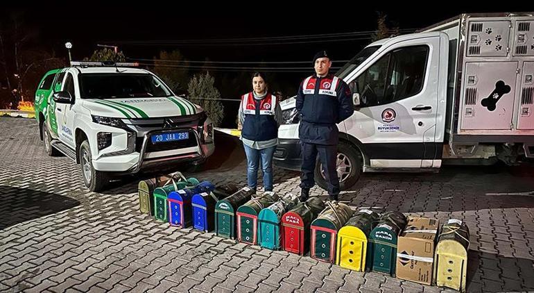 Kanatlı Hayvanlar Derneği'nde şok baskın! Ekipler şaşkına döndü