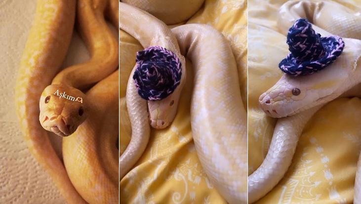 Antalya’da evde piton ile karşı karşıya! ‘Beni yeme hayali kuruyor’