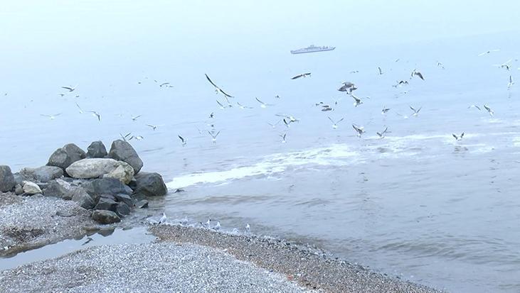 Beylikdüzü sahili kahverengiye döndü! ‘Kokudan arabadan çıkamıyorum’