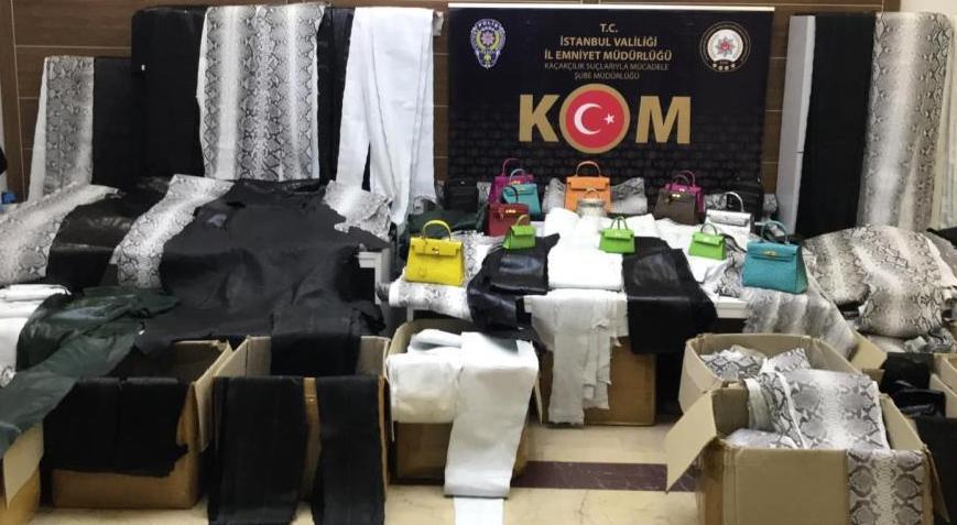 Zeytinburnu’nda baskın: Bin 501 piton yılanı ve devekuşu derileri ele geçirildi