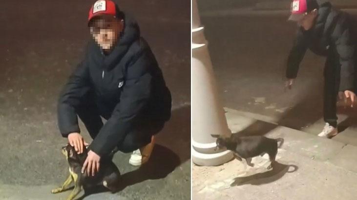 Elektrik kaçağını kontrol etmek için köpeği kullandı!