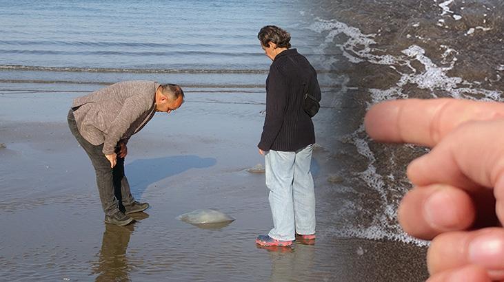 Sahil’de şaşkına çeviren görüntü: Deniz suyu çekilince kıyıya çıkıyor