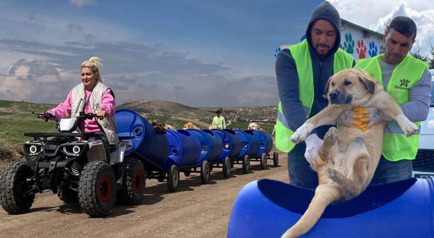 Yürekleri ısıtan görüntü! Engelli köpekleri varilden yapılan trenle gezdiriyor