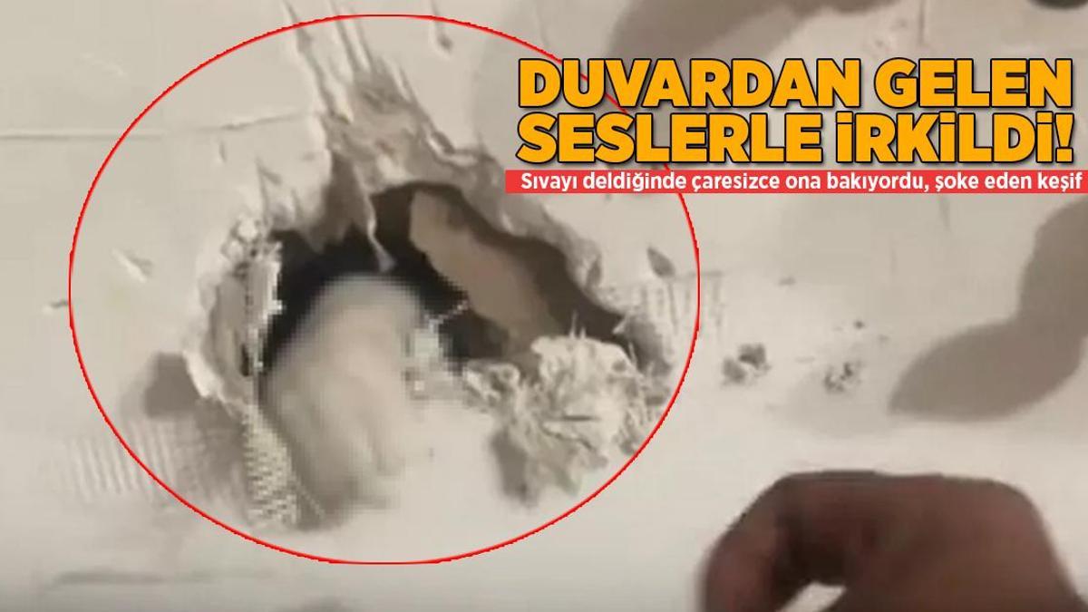 Duvarın içinden gelen seslerle irkildi, şoke edici keşif!