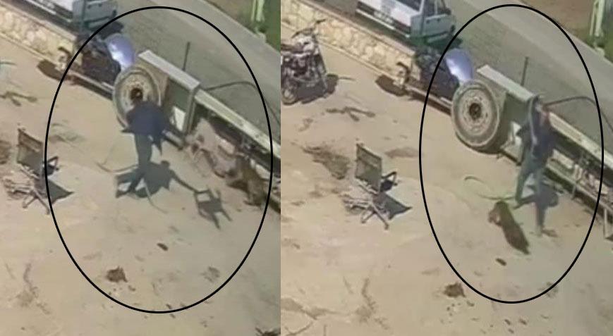 Köpeğe hortum, sandalye ve kürekle saldırıda 2 kişi hakkında karar