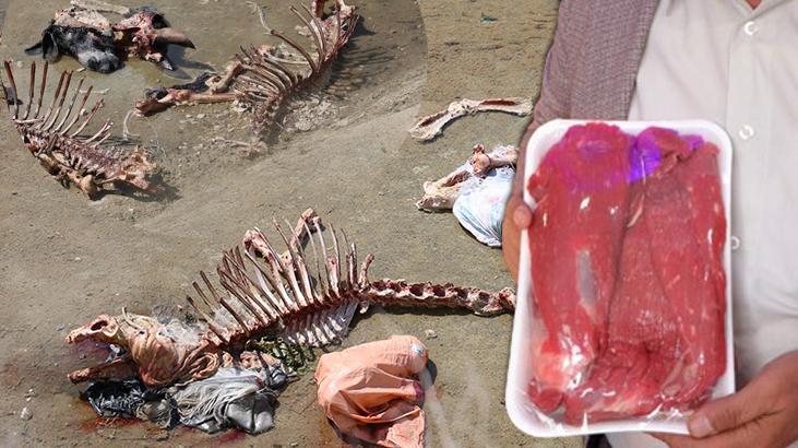 At eti skandalı sonrası uyarı: Kasaptan alırken değil, pişirirken anlarız! İşte yöntemi