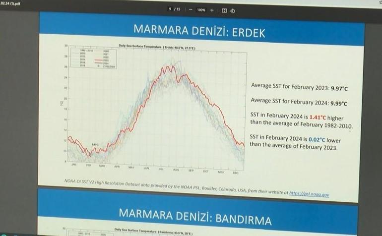 Marmara Denizi için uyarı: Canlı transferlerini bekliyoruz