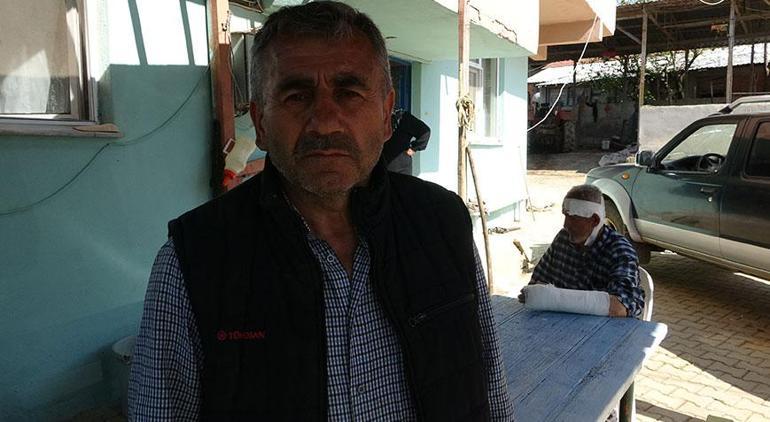 72 yaşındaki çoban dehşeti yaşadı! 'Önce koyunlara sonra bana saldırdı'