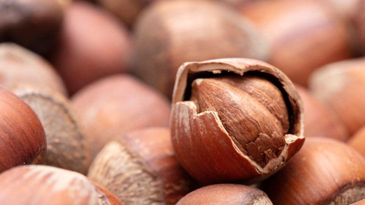 Fındık ihracatı arttı