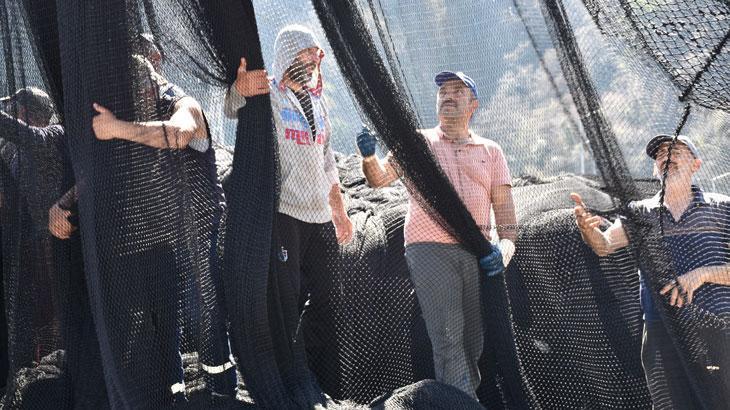 Karadeniz’de hamsi göçtü!