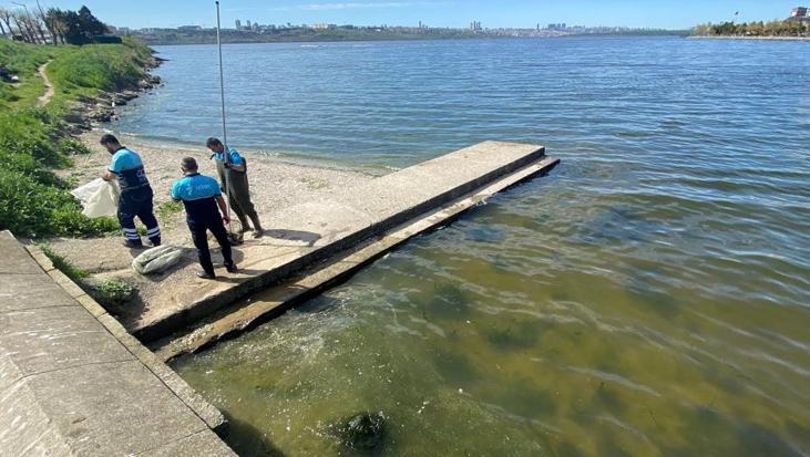 Ölü balıklar kıyıya vurdu! ‘Fabrikanın atıkları geliyor’
