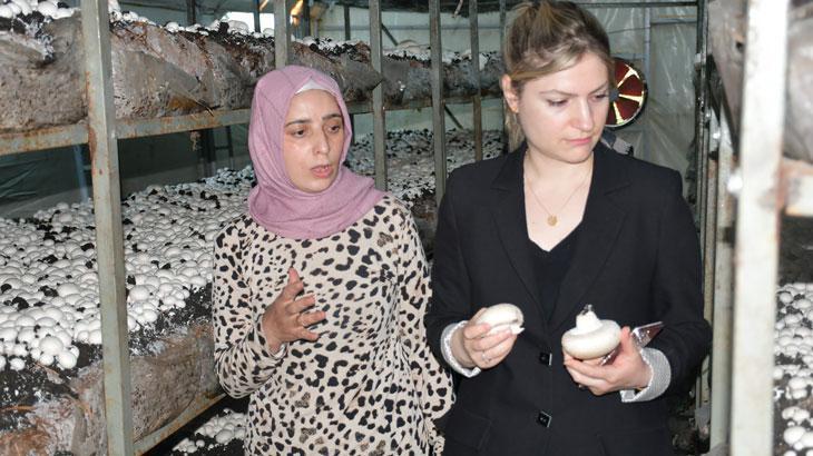 Devlet desteği ile işleri büyüttü, siparişlere yetişemiyor: Eşimin işleri iyi gitmeyince bu işi düşündüm