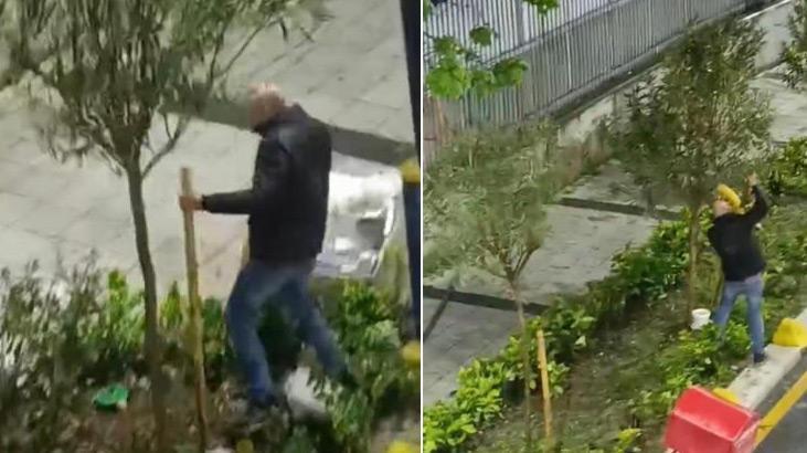 İstanbul’da bir kişi ağaçlara zarar verdi!