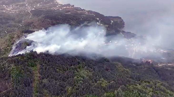 Kastamonu’da orman yangını! Rüzgarın etkisiyle yayıldı