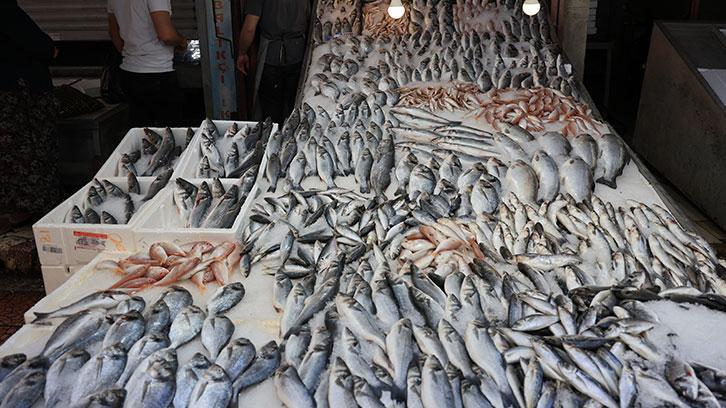 “Levrek ve çipuraya rağbet var”