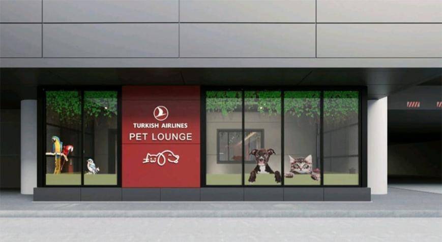 THY İstanbul Havalimanı’nda PET LOUNGE kuracak