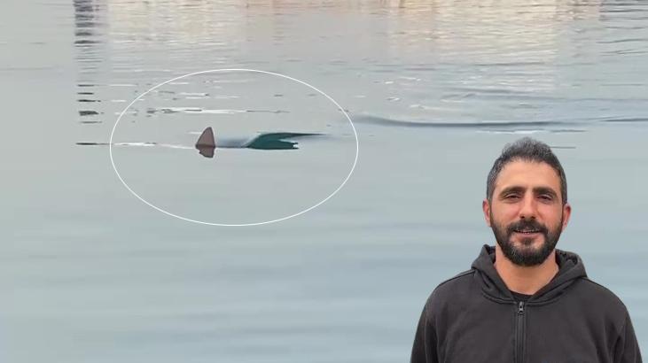 Balık avlarken karşısına köpek balığı çıktı: Kocaman bu