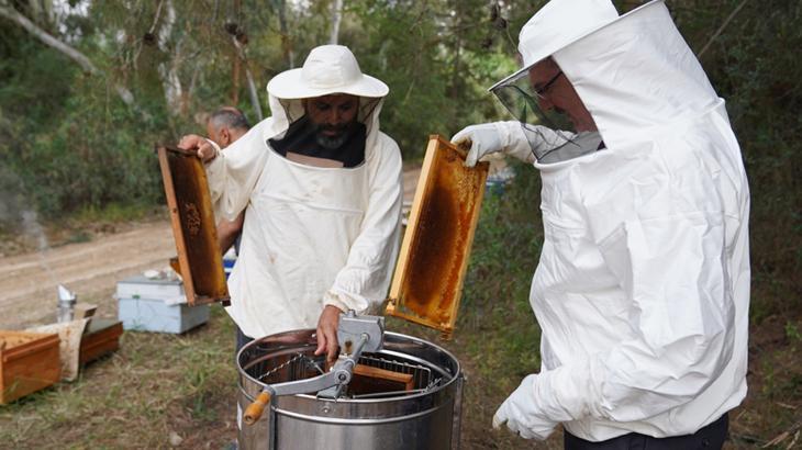 Adana’da yılın ilk bal hasadı başladı