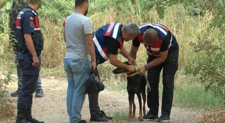 Korhan Berzeg’in kızı Türkiye’ye geliyor! Hayvanların cesedi parçalamış olma ihtimali...