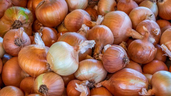 Nisan ayında fiyatı en fazla artan ürün kuru soğan oldu