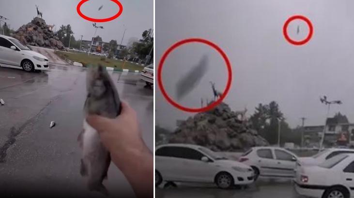İnanılmaz görüntüler Orta Doğu’da çekildi: Gökten balık yağdı