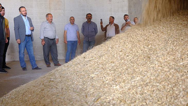 İlk arpa hasadı yapıldı