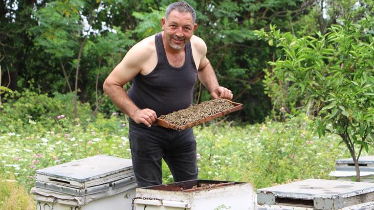 Çılgın arıcı arılara meydan okudu! Arılarım beni tanıyor dedi ve…