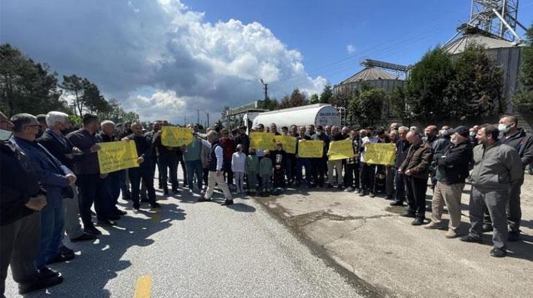 Sakarya'da bir mahalle ayakta: Balıklar öldü, sıra çocuklarda!