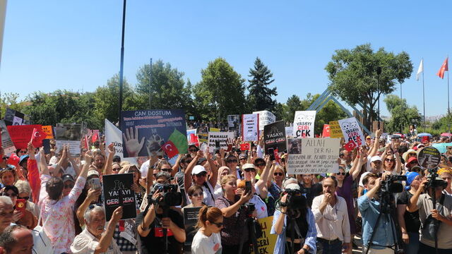 Hayvanseverler Sokak Hayvanları İçin Meclis Önünde Eylemde