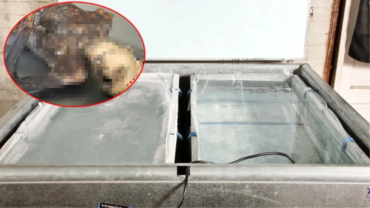 10 Yıl Sonra İşyerindeki Buzdolabının Arkasında Ceset Bulundu