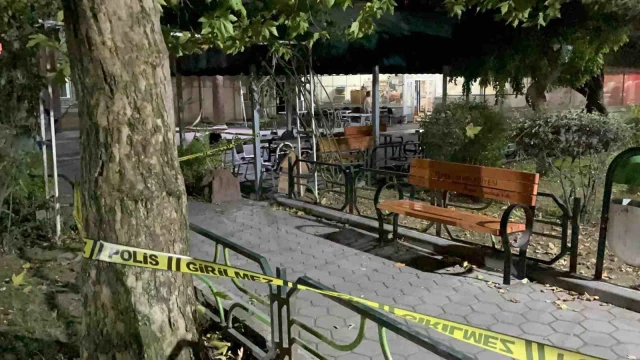 Oyunlardan İlham Aldı: Genç, Çay Bahçesinde 5 Kişiyi Bıçakladı ve Saldırıyı Canlı Yayınladı