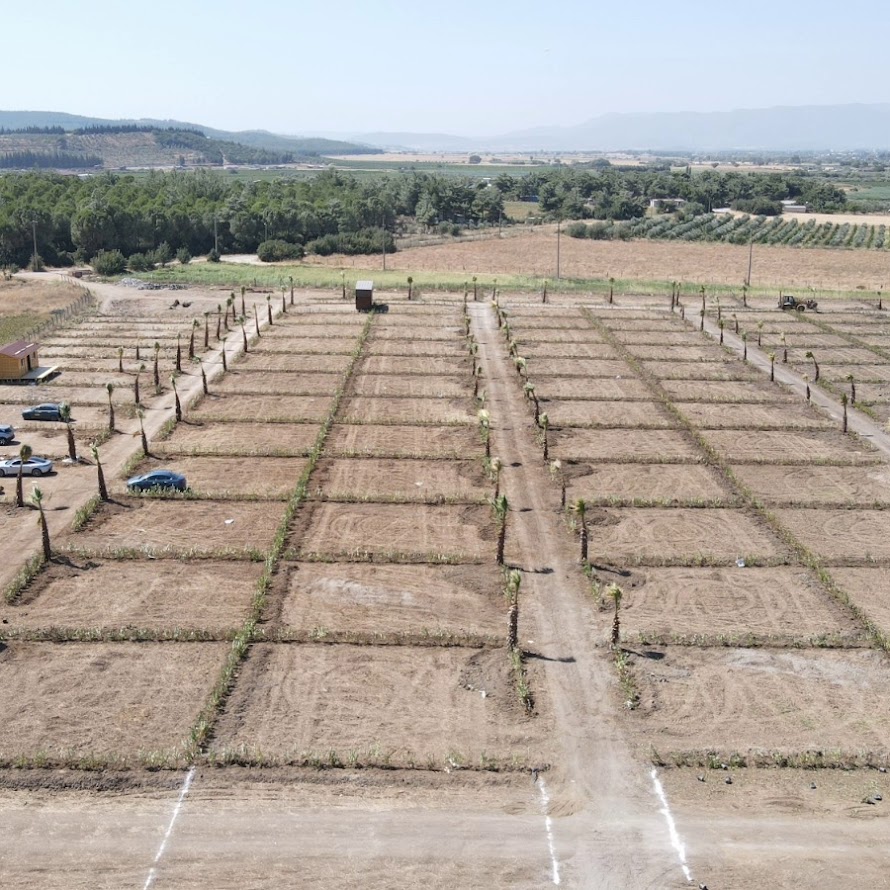 İzmir’de Yeşilköy'de Harun Karakaya’nın Betonsuz Doğal Yaşam Merkezi