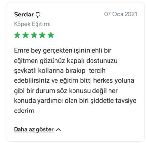 S.I.R K9 Köpek Eğitim Akademisi: Şeffaf Eğitimde Yeni Bir Dönem