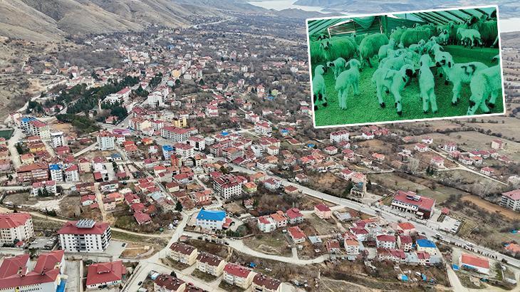 Pertek ilçesi 30 gün karantinaya alındı! İşte Detaylar…